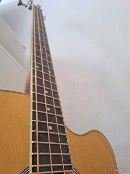 Basgitara elektroakusticka - 3