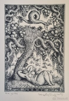 Peter Kľúčik-predám grafiky. - 3