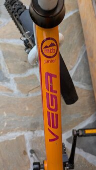 Bicykel Dema Vega - 3