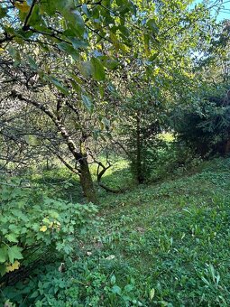 ponúkame bývanie v pone prírody - 3