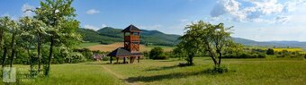 Stráženie psov, malých zvieratiek, hlodavcov... - 3