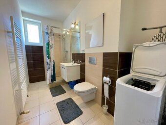 1 izbový byt na prenájom - 3