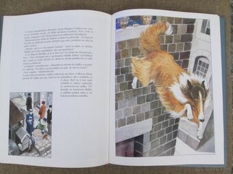 Lassie sa vracia - 3