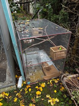 Predám vlastnoručne robenú voliériu pre vtáky - 3