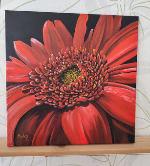 Na predaj obraz Gerbera akrylom - 3