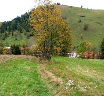 DELTA - NA PREDAJ POZEMOK - obec Osturňa - 2159m2 - 3