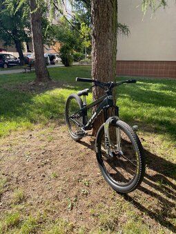 CTM dirtking Pro - 3