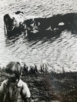 Irena Blühová - Najmladší pastier kráv - 3