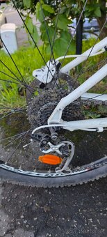 Lapierre Raid 700 (S) - 3