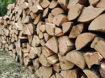 Palivove drevo - 3