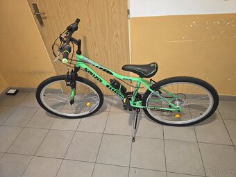 Kenzel Roxis junior 24" - 3