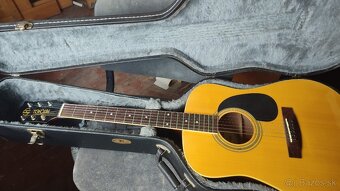 Gitara Mitchell. s puzdrom - 3