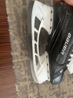 Bauer mach - 3