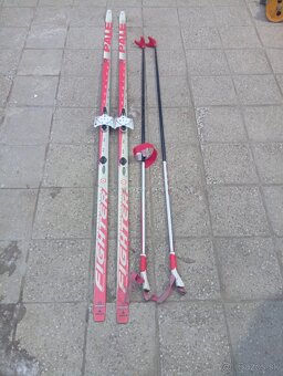 Predám bežecké lyže "Pale" - 3