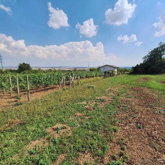 Predaj rekreačného pozemku - Rybník/Levice - 3