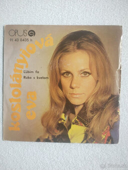 LP a singel vinylové platne - rôzne - 3