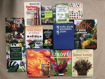 Čičmany, Bratislava zadným vchodom 1918 -2005, Spiritismus - 3