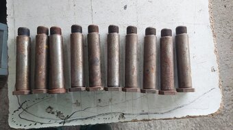 Bolec , čap listového pera - 3
