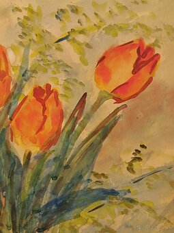 Obraz Jílková, Tulipány 70x52 - 3
