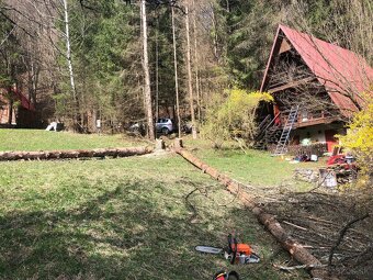 rizikové spiľovanie a orez stromov, klčovanie, kosenie - 3
