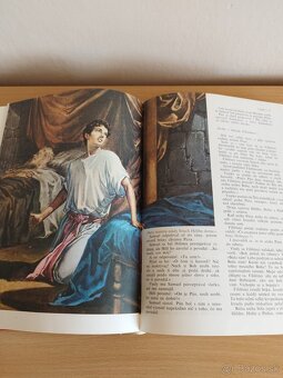Ilustrovana Biblia. - 3