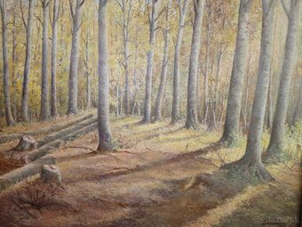 Starožitne obrazy a iné - 3