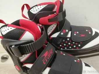 CRANE hviezdičkové - 3