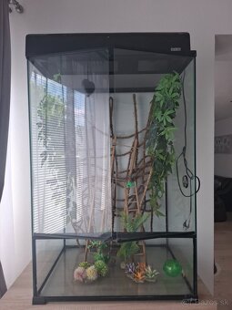 Terarium - 3