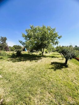 Záhradný domček so slnečným pozemkom Levice - Kalinčiakovo - 3