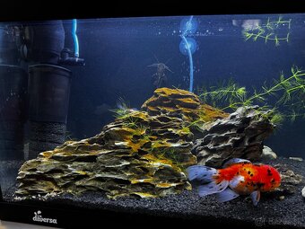 Diversa 60L - 3