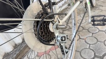 Pánsky bicykel ESKA - 3