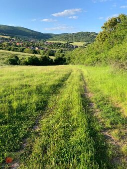 Predaj pozemok v prírode Jedľové Kostoľany - 3