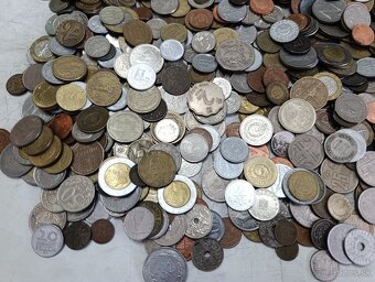 Mince 2.5kg lot4 - 3