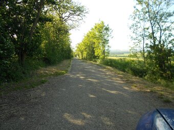 Záhrada v extravil. Žitavce, okr.Nitra, Vráble  6 km - 3