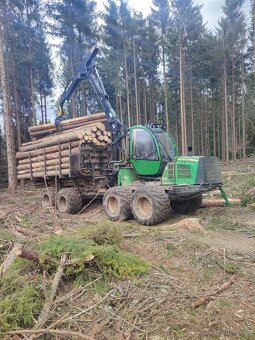 Ťažba dreva a kúpa porastov na pni - 3