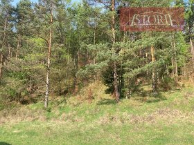 Lesný pozemok na predaj - Rudno - 3