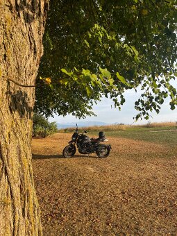 MotoMorini seiemmezzo 650 SCR scrambler - 3