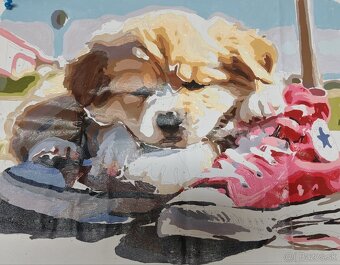 Zvieratá na obraze - 3