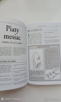 Deväť mesiacov otázok a odpovedí - 3