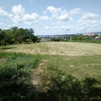 Investičný pozemok Levice 3300 m2 -Staré Levice aj chatka - 3
