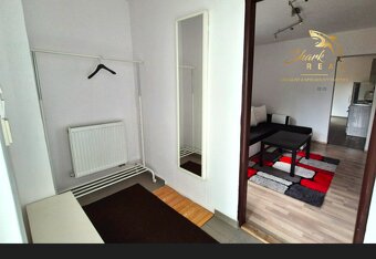 VEĽKÝ 1 izb byt _ 65 m2_ Prenájom_Parkovanie GRÁTIS - 3
