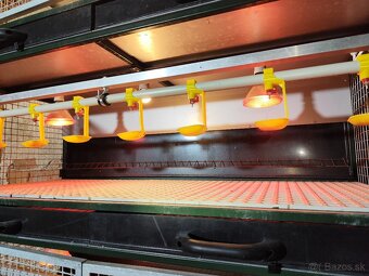 Špičkové odchovne pre hydinu – komplet vybavené - 3