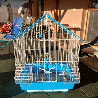 Predám klietku pre vtákov - 3