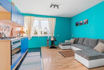 Nestor Capital - 6-izbový rodinný dom po rekonštrukcii - 3