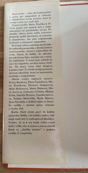 ZLATÝ STEOM - Mária Ďuríčková - 3