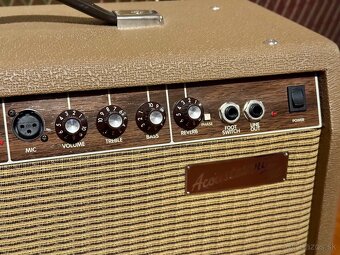 Fender Acoustasonic 30 - 3