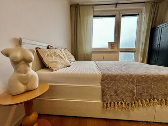 REI PREMIUM prenájom apartmánu v centre Dunajskej Stredy - 3