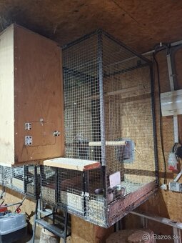 Voliery / klietky 6ks - 3