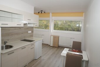 TOP 1-i byt s internetom a vlastným parkovaním / centrum - 3