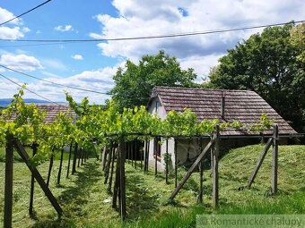 Ponorte sa do sveta vína a histórie v malebnej obci Vinica - 3